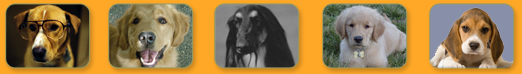 image header