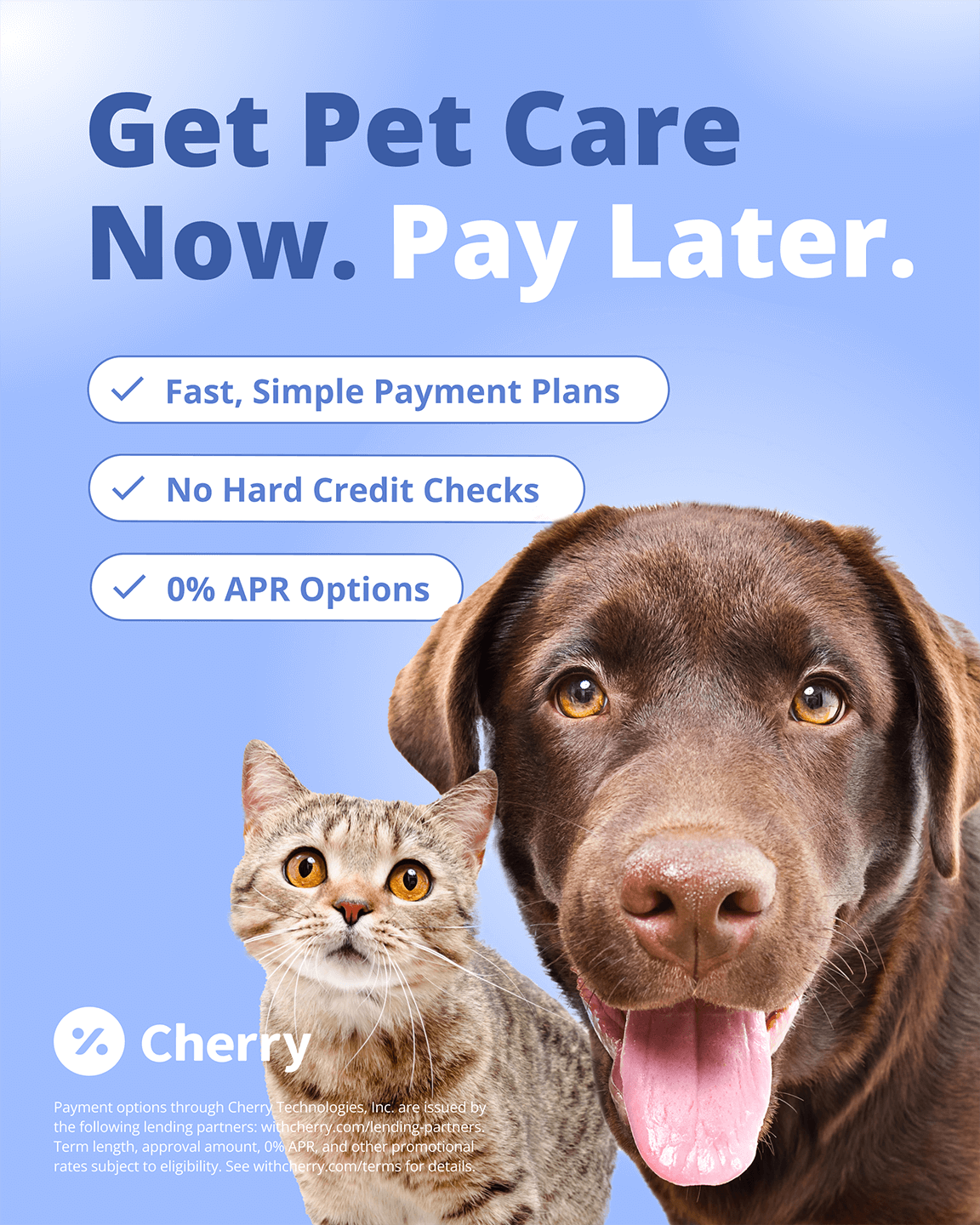 Cherry Payments